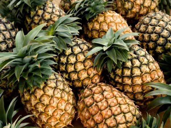 Ingredient Pineapple - Rohtopia