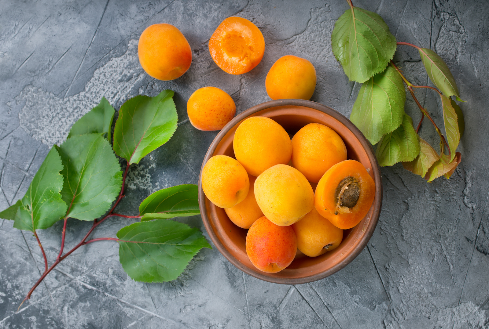 Was Ist Der Unterschied Zwischen Aprikosen Und Marillen Aprikosen / Marillen - ROHTOPIA | Ganzheitliches Wohlfühlen