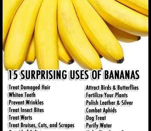 24 fakten ueber bananen die du noch nicht kanntest