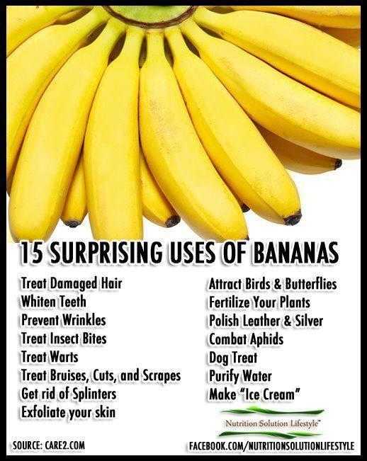 24 fakten ueber bananen die du noch nicht kanntest