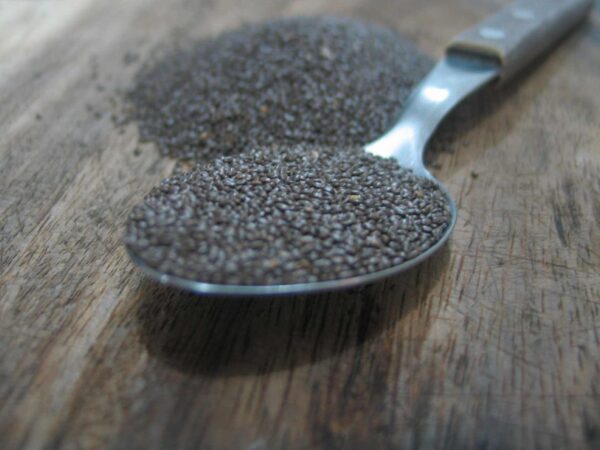 Everything about chia seeds