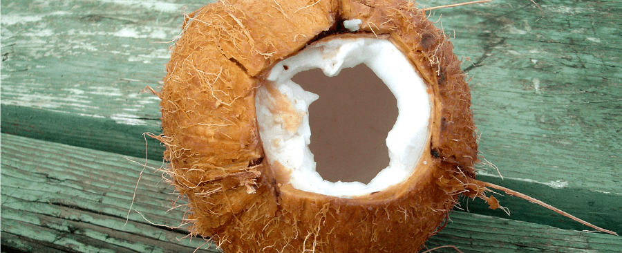 fresh-coconut