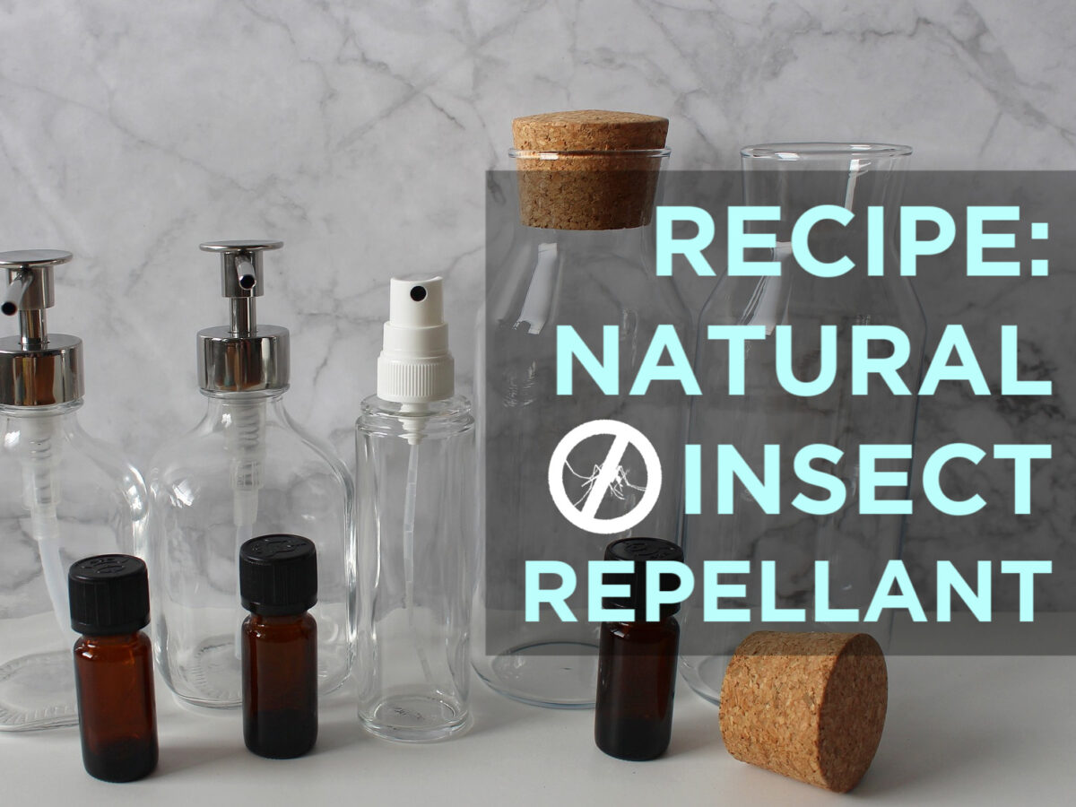 HOW TO MAKE NATURAL BUG SPRAY AND MOSQUITO REPELLANT & WHAT HELPS WITH ITCHY INSECT BITES
