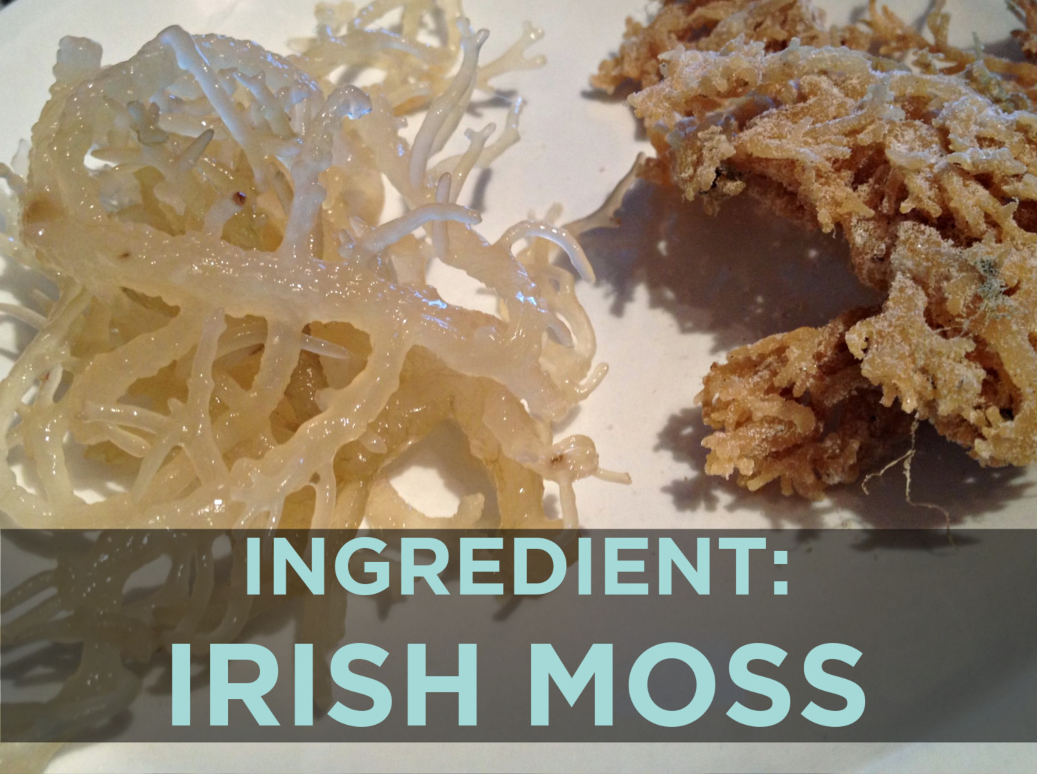 How to make Irish Moss Gel - ROHTOPIA - Rohkost + Ganzheitliches